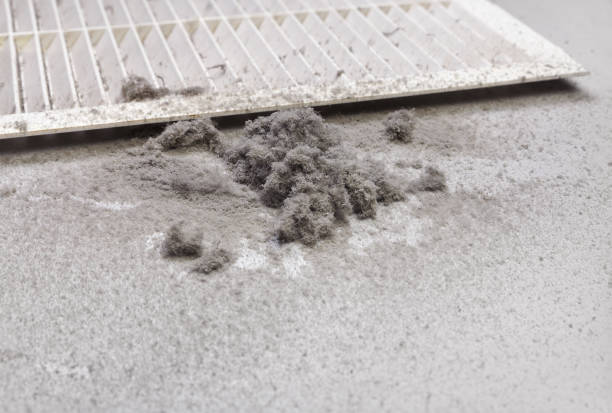 Best Ventilation Cleaning Services  in Holdrege, NE