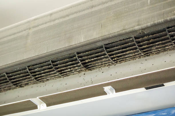 Best Affordable Duct Cleaning Services  in Holdrege, NE